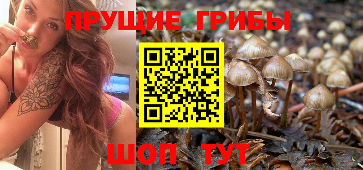 Галлюциногенные грибы MAGIC MUSHROOMS Кохма