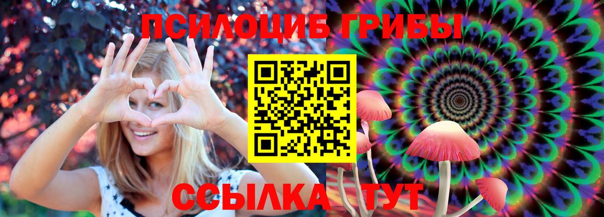 Галлюциногенные грибы Cubensis  Вход с VPN  Кохма 